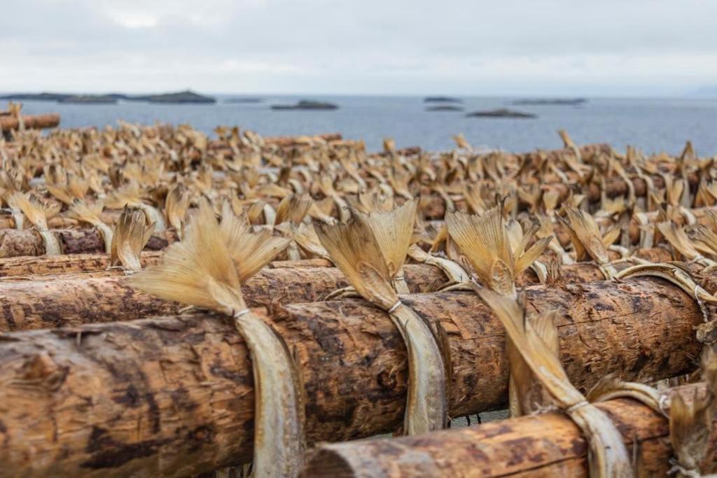 Lofoten Holiday Kabelvåg Esterno foto